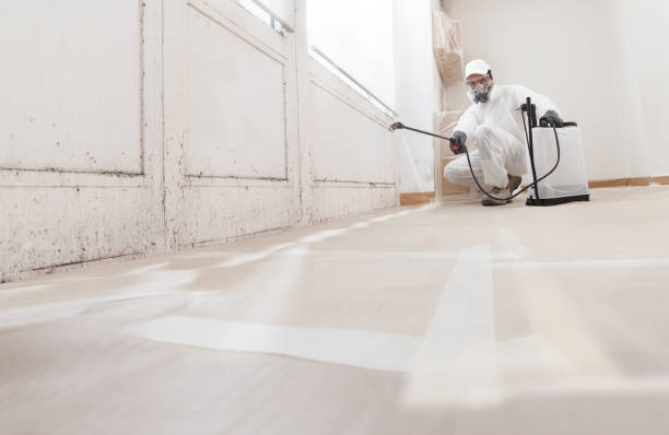 Black mold remediation team in Austin